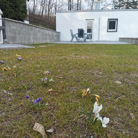 Ferienhaus Am Wald Wendehausen Eksteriør billede